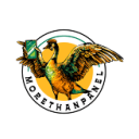 MoreThanPanel logo